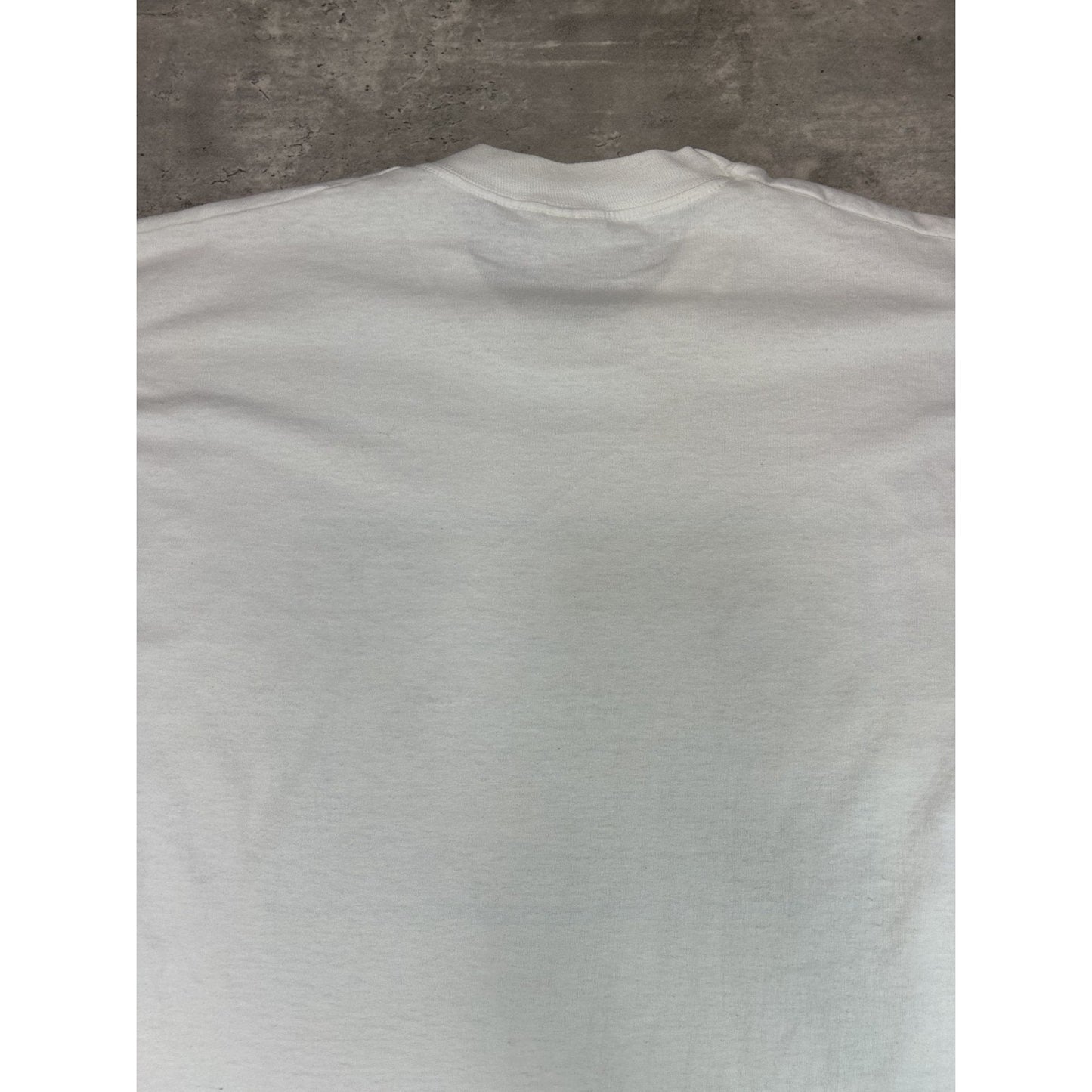 Vintage 90s Brookfield Zoo Dragonfly Marsh Nature Graphic T-Shirt Size XL
