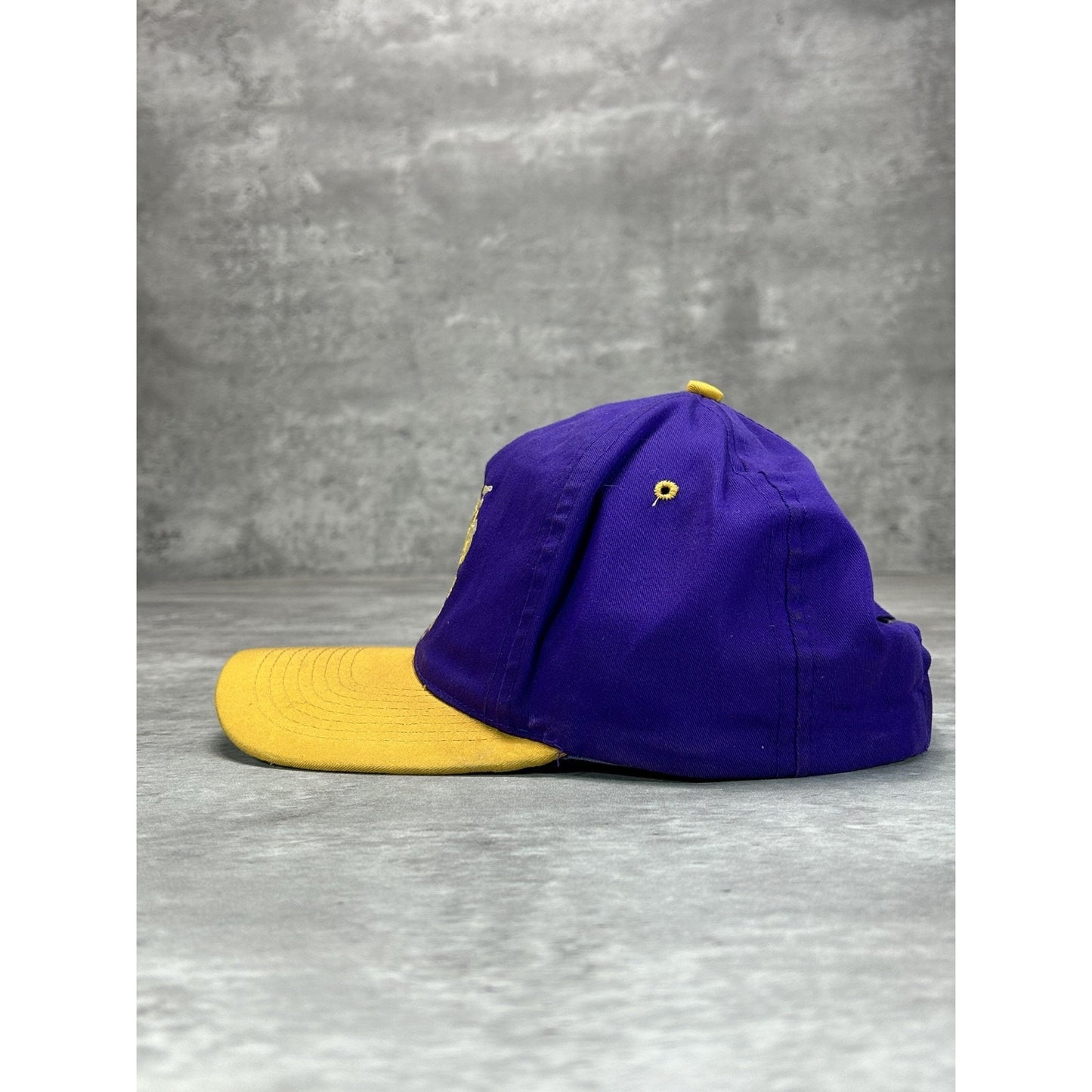 Vintage 90s Minnesota Vikings NFL Embroidered Logo Football Snapback Hat OSFA