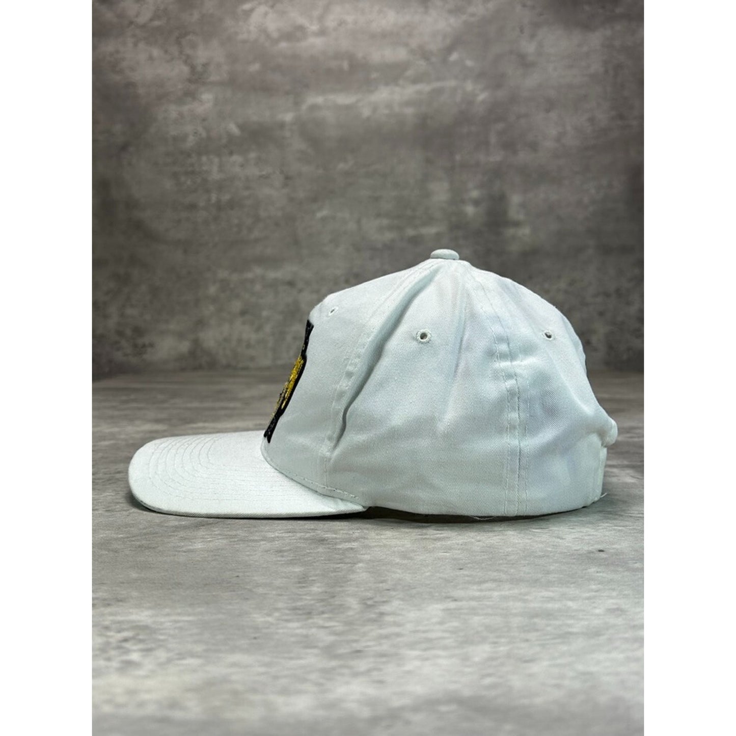 Vintage 1992 Pittsburgh Penguins NHL Back To Back Champs Snapback Hat OSFA