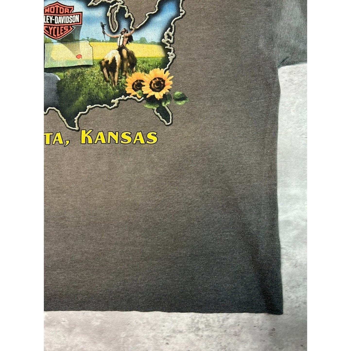 Vintage Harley Davidson Spellout Flame Graphic Cropped T-Shirt Size XL
