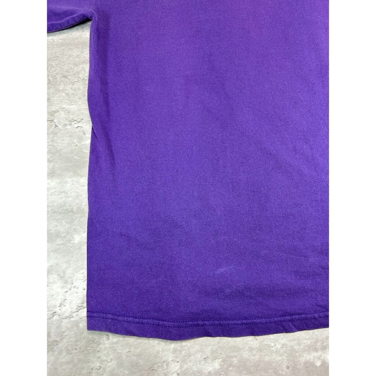 Vintage 1998 Minnesota Vikings NFL NFC Central Division Champs T-Shirt Size Large