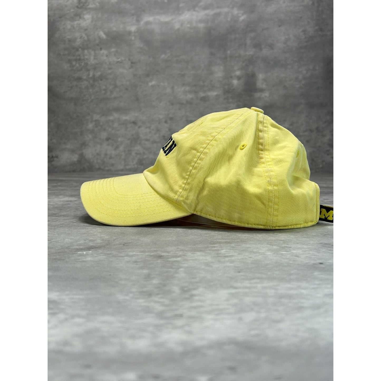 Vintage 2000s Michigan Wolverines NCAA Embroidered Nike Strapback Hat OSFA