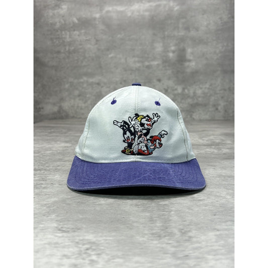 Vintage 1994 Animaniacs Embroidered Cartoon TV Show Promo Snapback Hat OSFA
