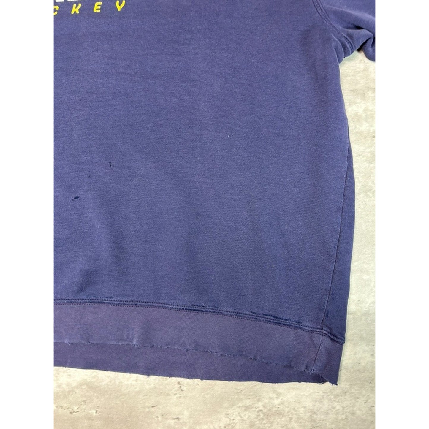 Vintage Buffalo Sabres NHL Graphic Spellout Reebok Hockey Sweatshirt Size Large