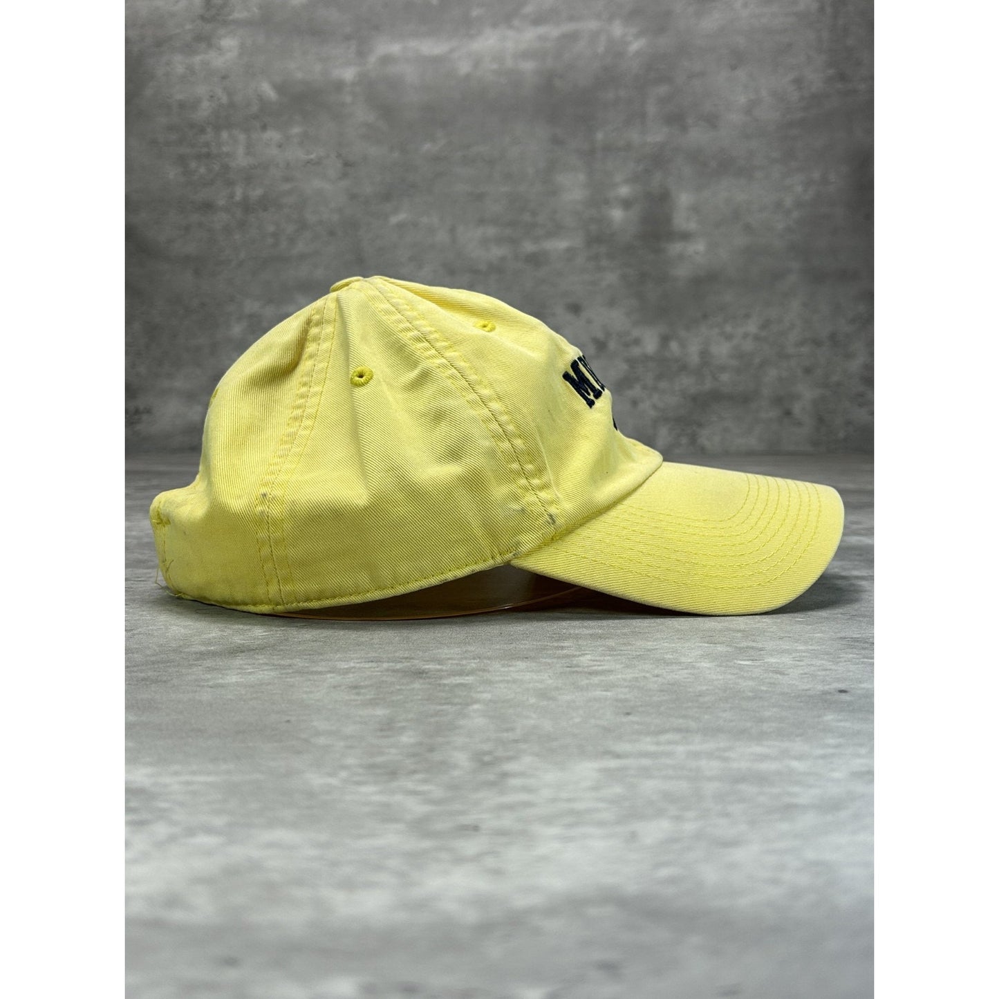 Vintage 2000s Michigan Wolverines NCAA Embroidered Nike Strapback Hat OSFA