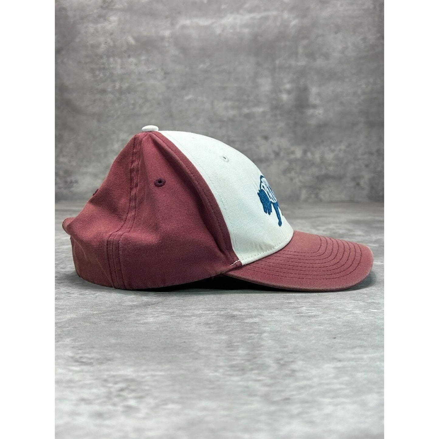 Patagonia Embroidered Bear Spellout Trucker Snapback Hat OSFA