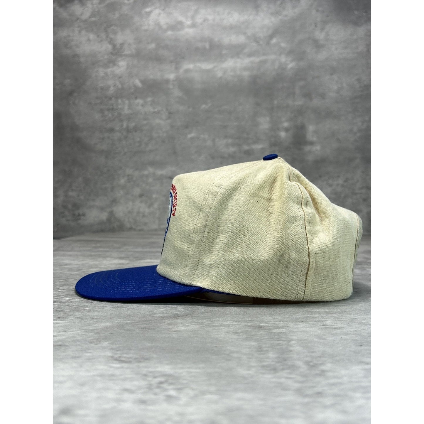 Vintage 1994 Bass Angler Sportsman Embroidered Fishing Snapback Hat OSFA