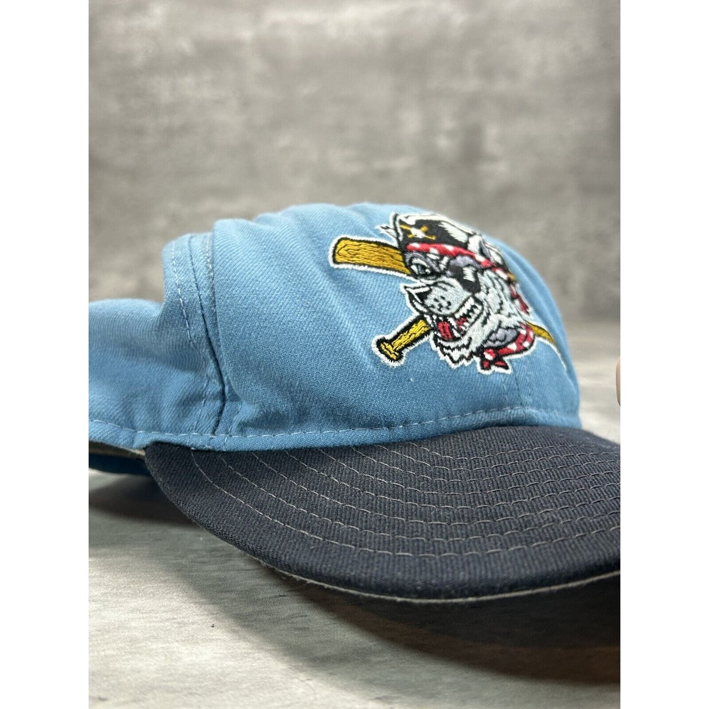 Vintage 90s Eerie Seawolves Milb Embroidered Logo Baseball Snapback Hat OSFA