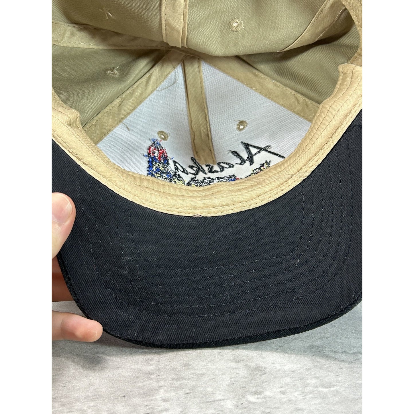 Vintage 90s Alaska Embroidered Dog Sledding Destination Strapback Hat OSFA