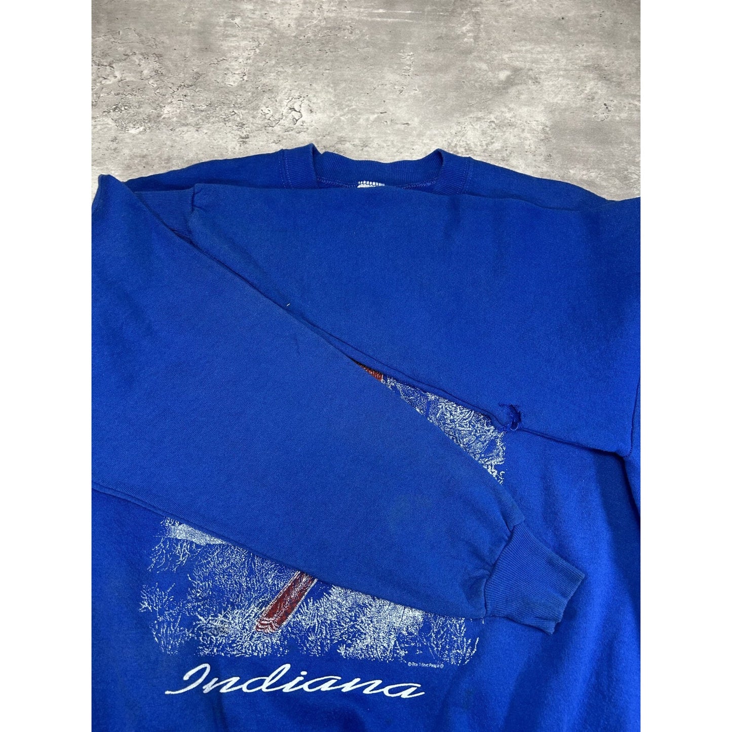 Vintage 90s Indiana Cardinal Nature Wildlife Graphic Sweatshirt Size XL Blue
