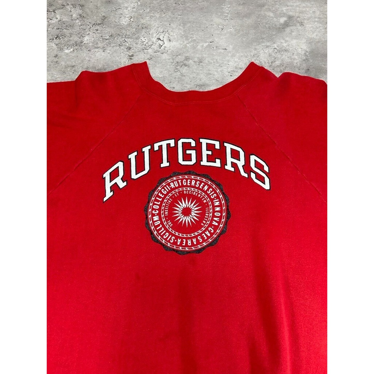 Vintage 1980s Rutgers University NCAA Crest Graphic Champion Sweatshirt Sz Large