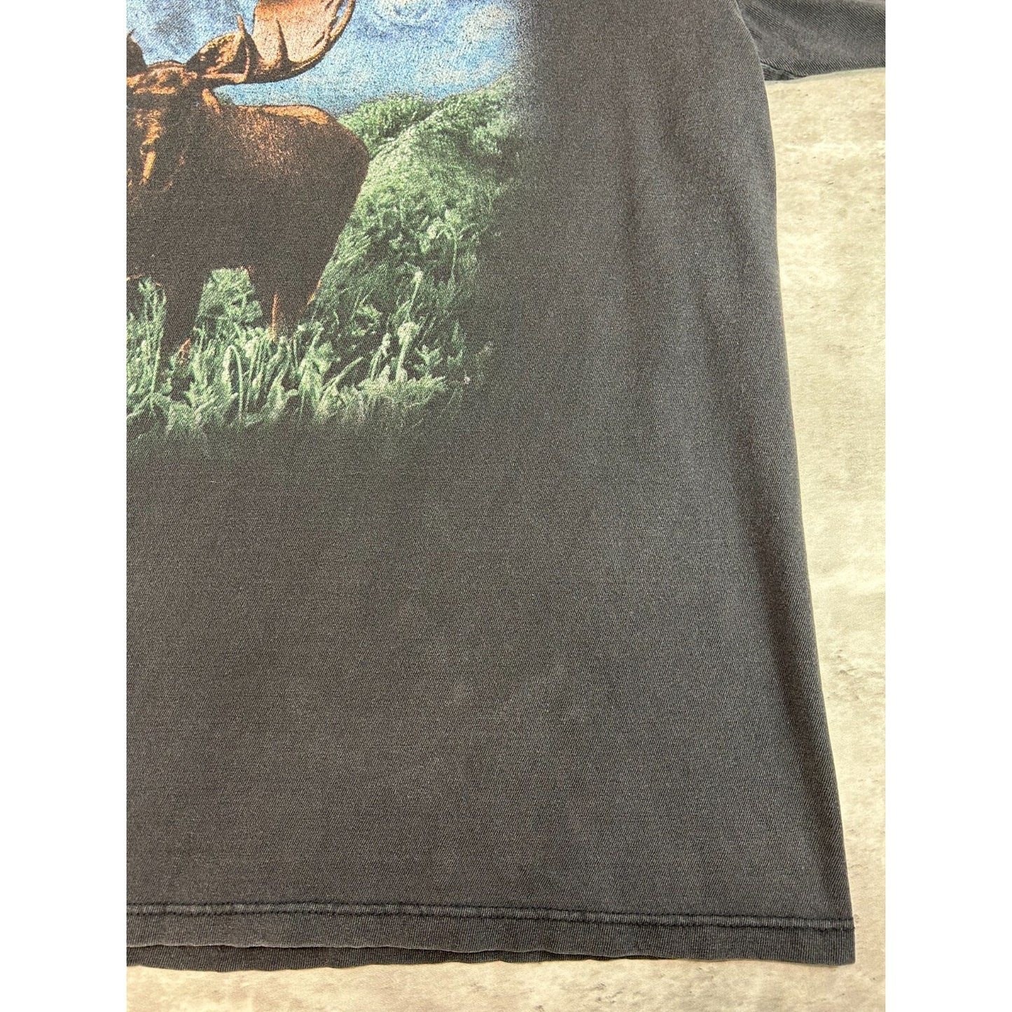 Vintage Bald Eagle Grizzly Bear Animal Nature Graphic AOP T-Shirt Size XL