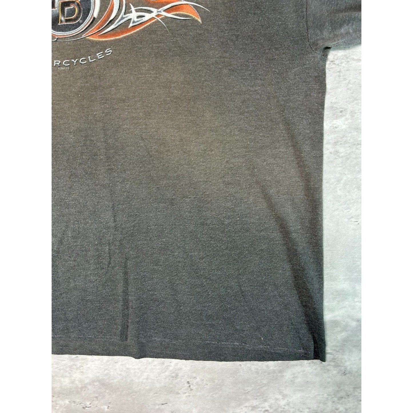 Vintage Harley Davidson Spellout Flame Graphic Cropped T-Shirt Size XL