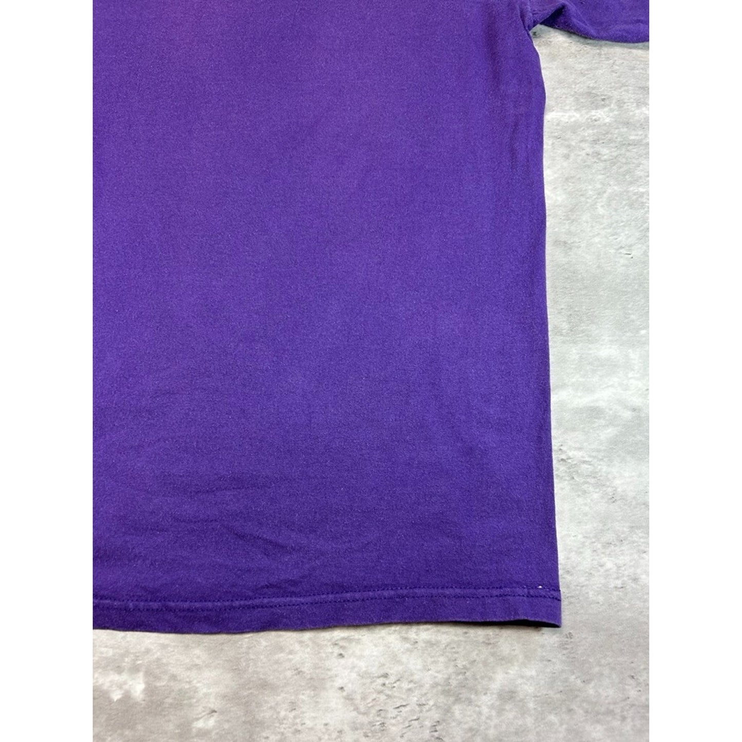 Vintage 1998 Minnesota Vikings NFL NFC Central Division Champs T-Shirt Size Large