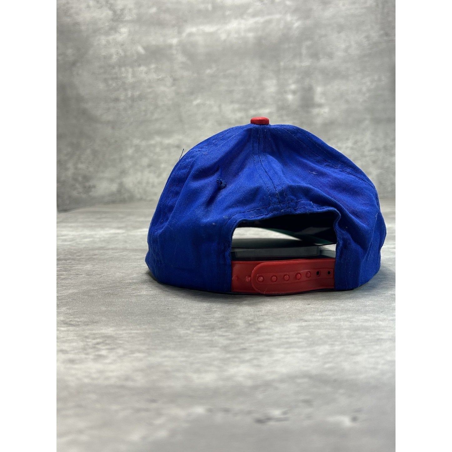 Vintage 1996 Montreal Canadiens NHL Looney Tunes Taz Snapback Hat OSFA
