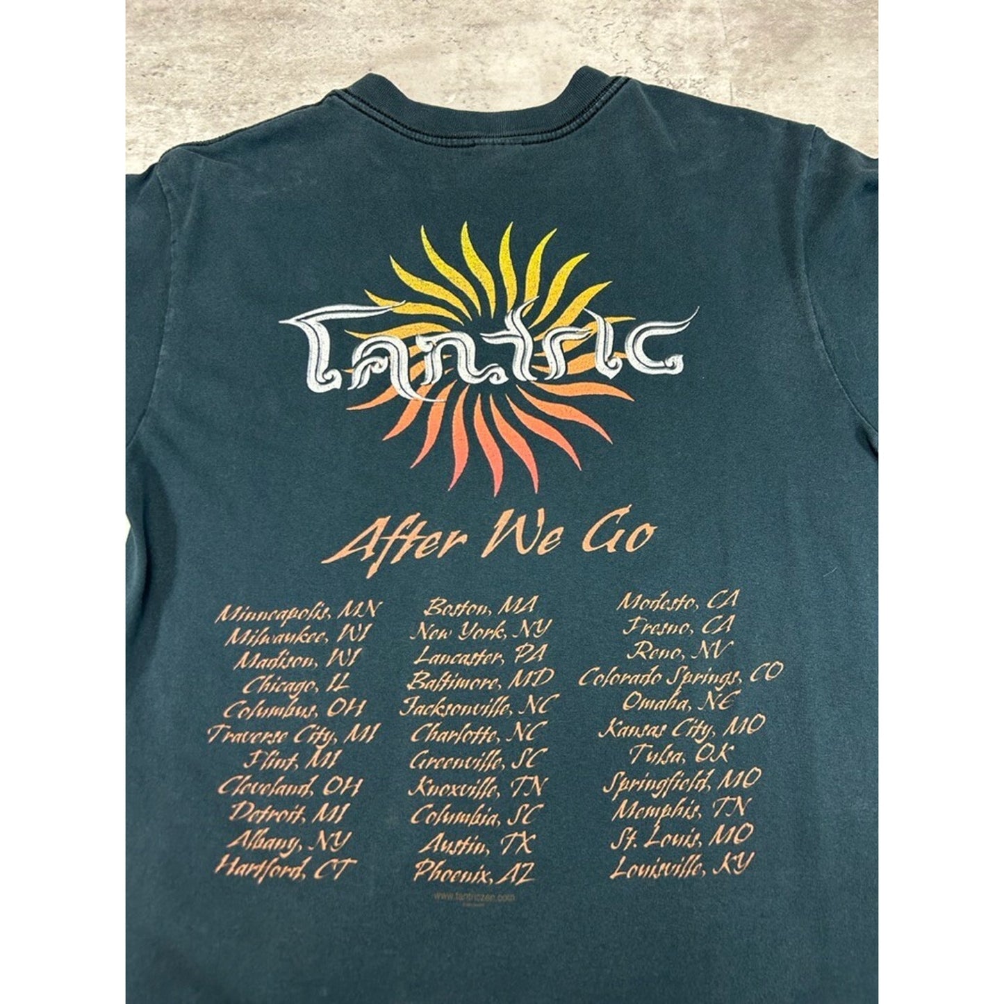 Vintage 2000s Tantric After We Go Tour Rock Music Band T-Shirt Size Medium Black