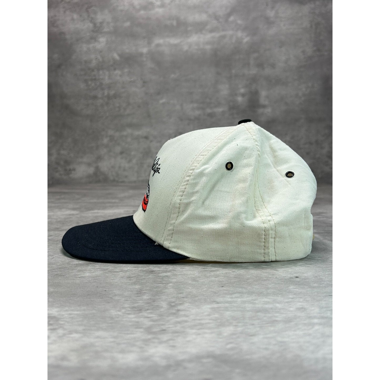 Vintage 90s Darrell Waltrip #17 Nascar Embroidered Racecar Snapback Hat OSFA