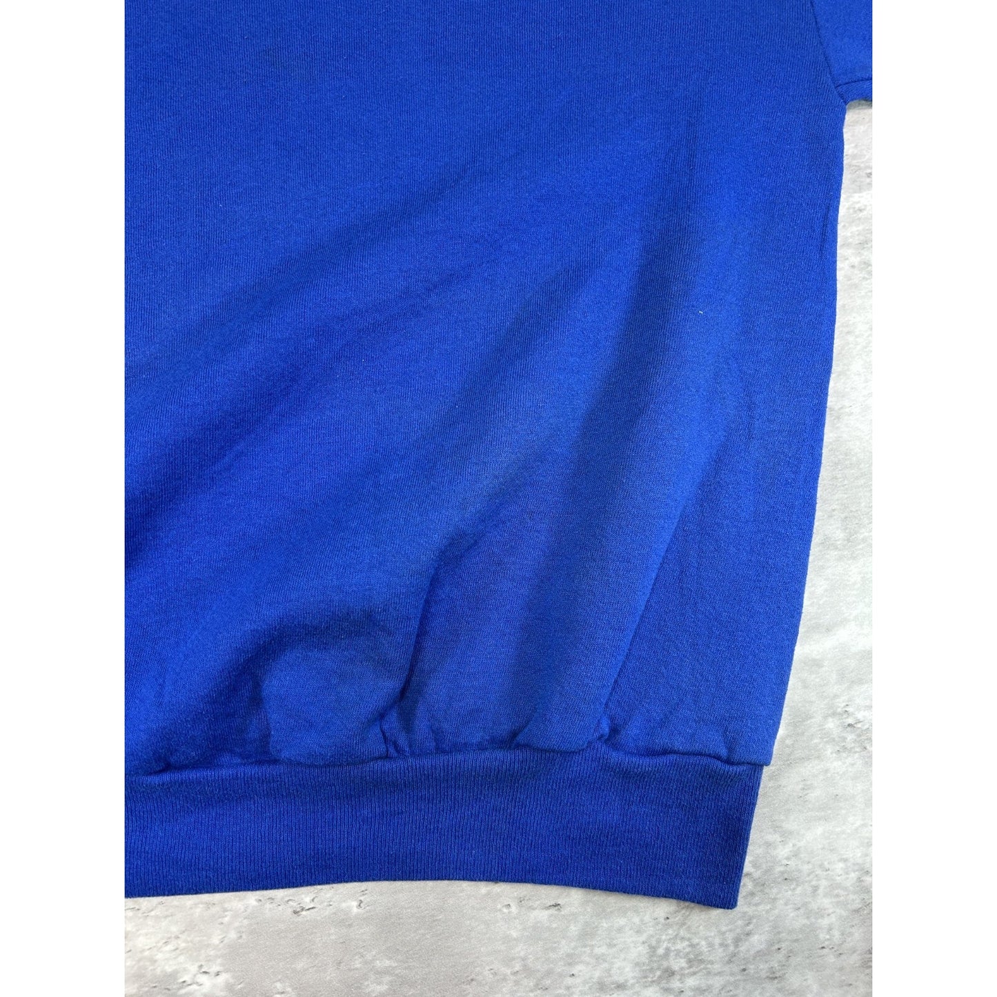 Vintage 90s Indiana Cardinal Nature Wildlife Graphic Sweatshirt Size XL Blue