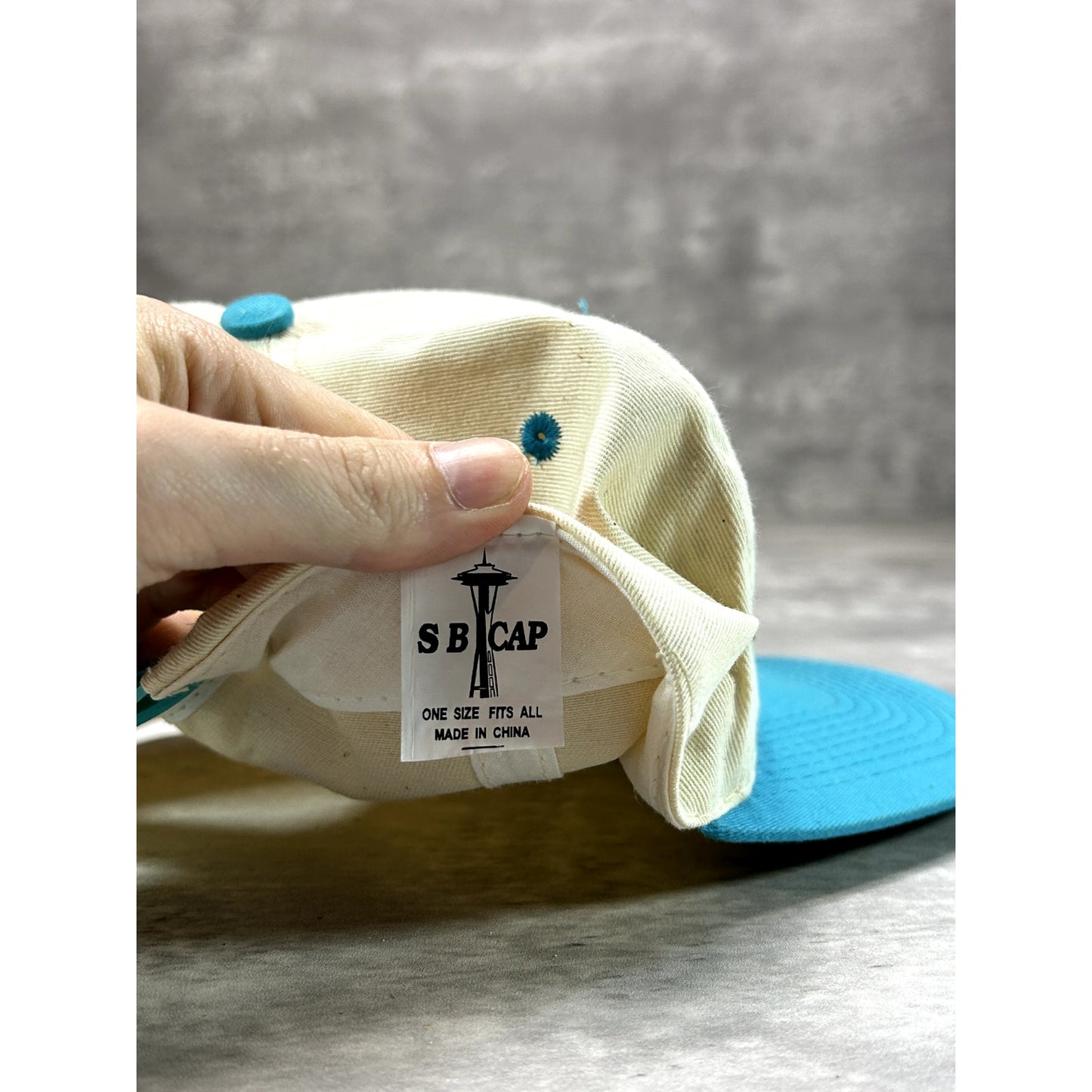 Vintage 90s Arizona Embroidered Spellout Destination Snapback Hat OSFA