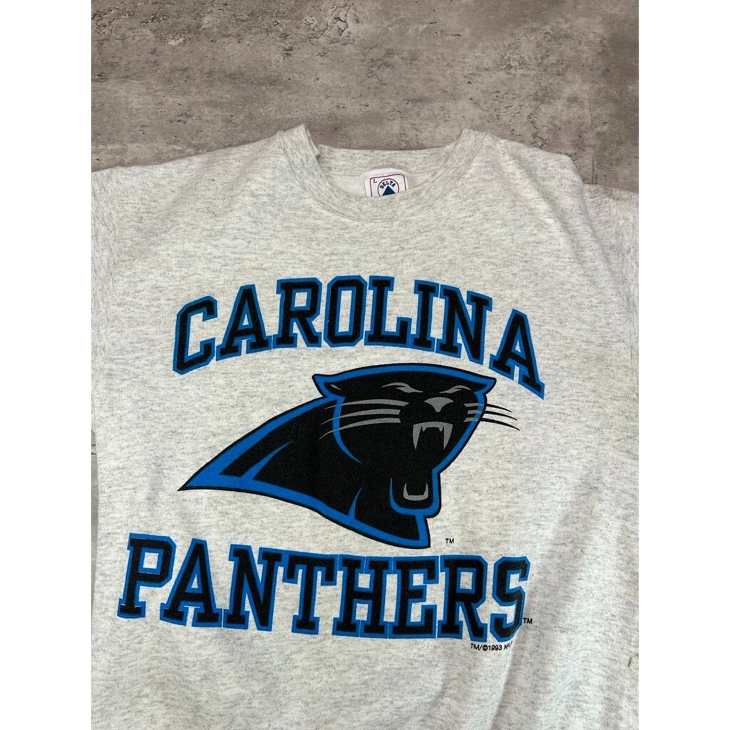 Vintage 90s Carolina Panthers NFL Big Graphic Spellout Sweatshirt Size Large
