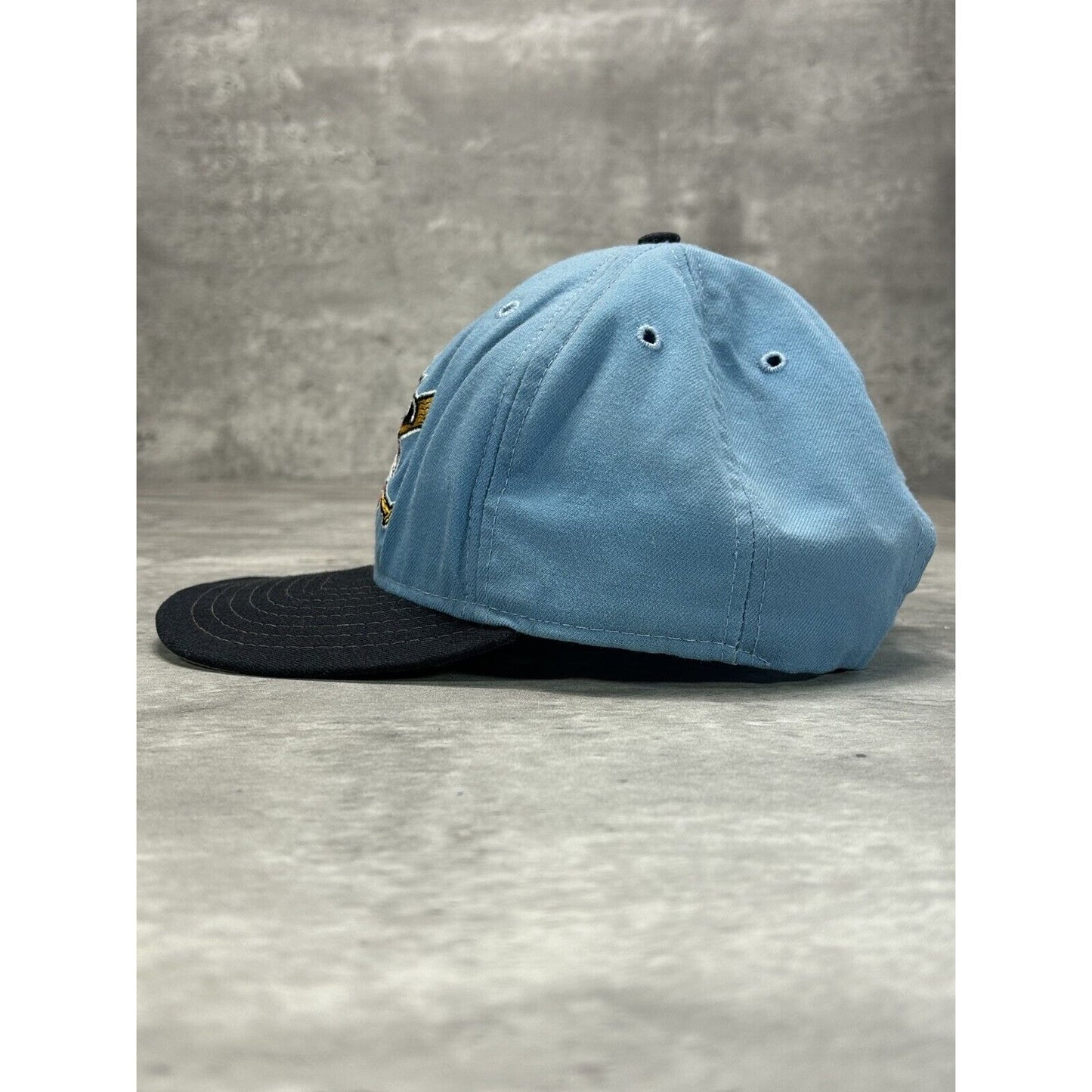 Vintage 90s Eerie Seawolves Milb Embroidered Logo Baseball Snapback Hat OSFA