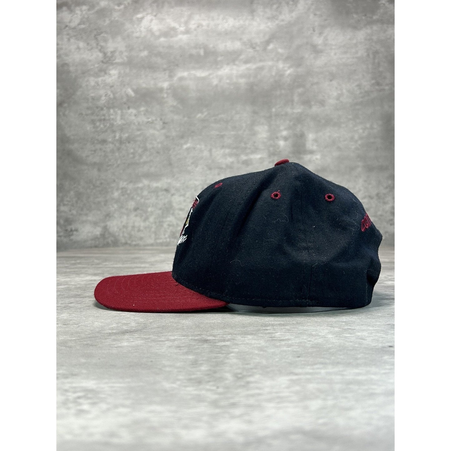 Vintage 90s Phoenix Cardinals NFL Embroidered Logo Football Snapback Hat OSFA