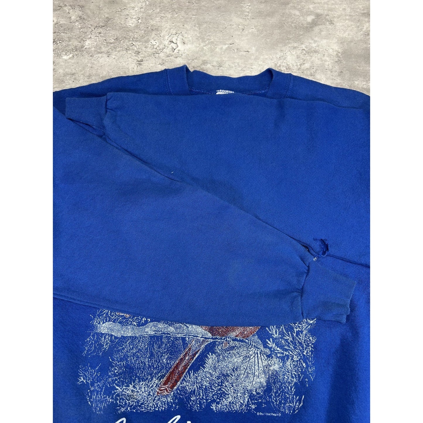 Vintage 90s Indiana Cardinal Nature Wildlife Graphic Sweatshirt Size XL Blue