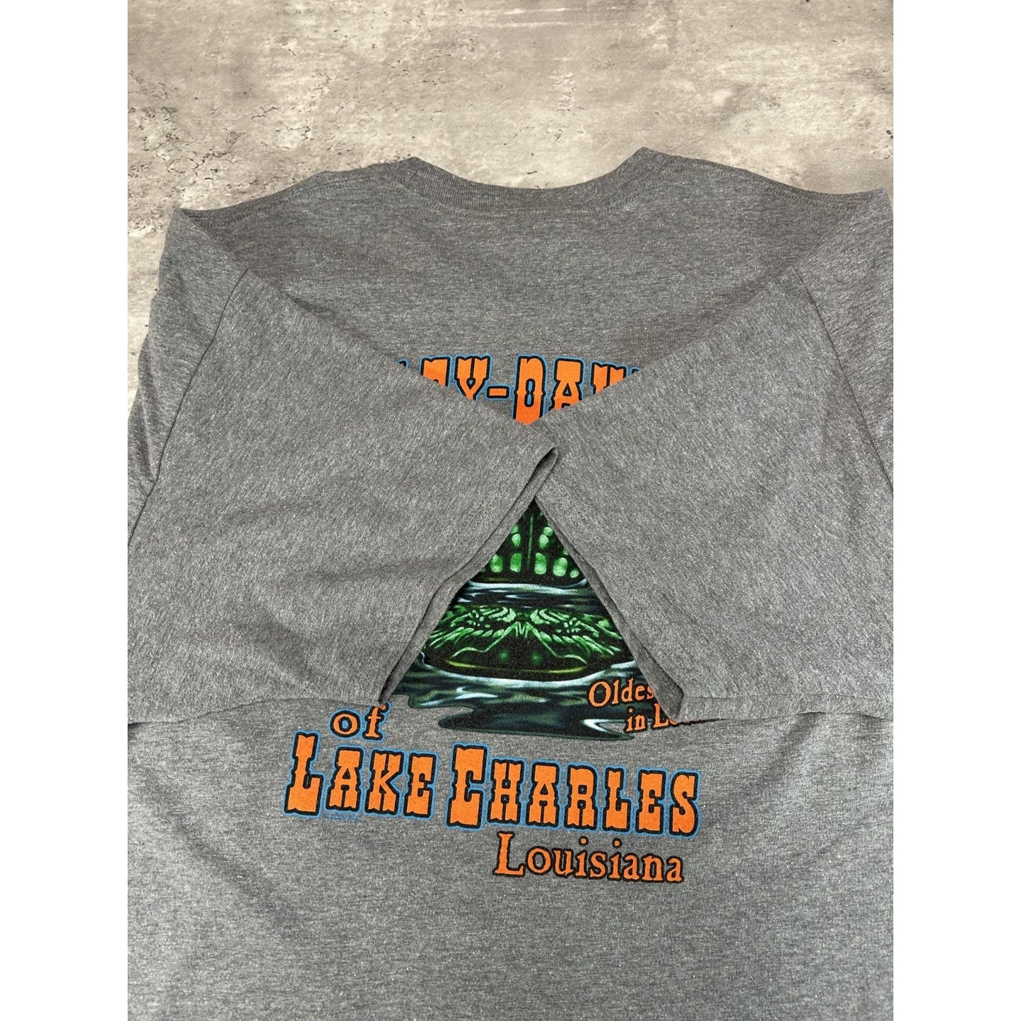 Harley Davidson Motorcycles Clown Graphic T-Shirt Size 2XL Gray