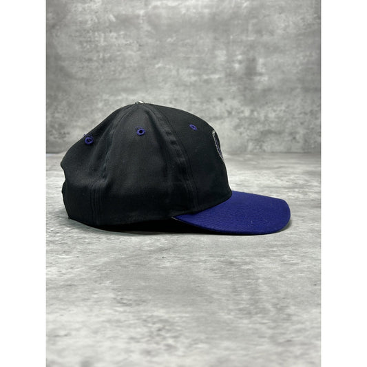 Vintage 90s Colorado Rockies MLB Embroidered Logo Baseball Snapback Hat OSFA