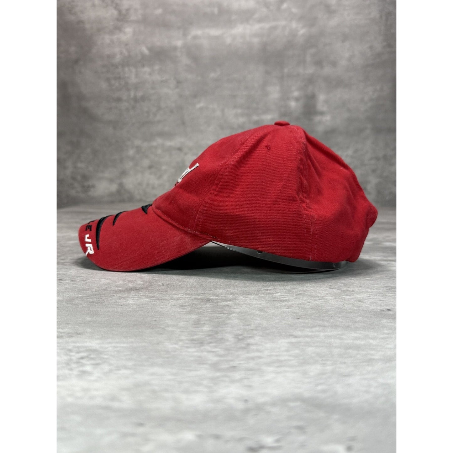 Vintage Dale Earnhardt Jr #8 NASCAR Bud Racing Strapback Hat OSFA