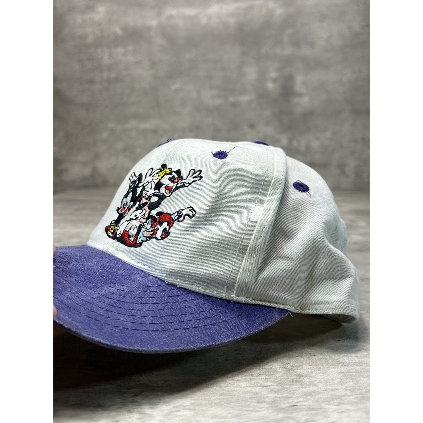 Vintage 1994 Animaniacs Embroidered Cartoon TV Show Promo Snapback Hat OSFA