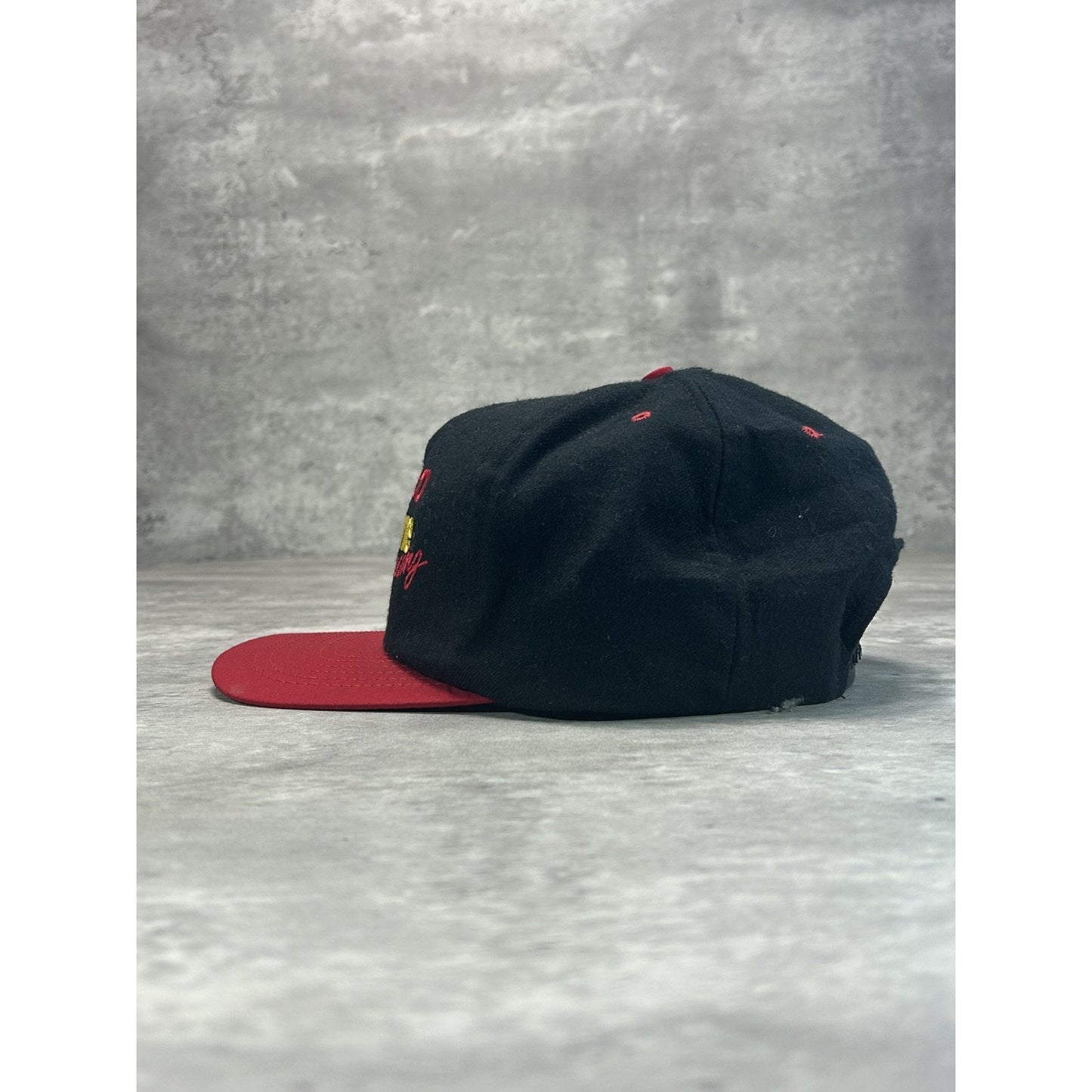 Vintage 90s Texaco Havoline Racing Embroidered Nascar Snapback Hat OSFA