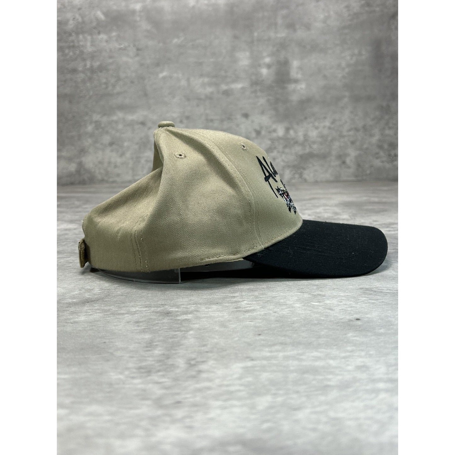 Vintage 90s Alaska Embroidered Dog Sledding Destination Strapback Hat OSFA
