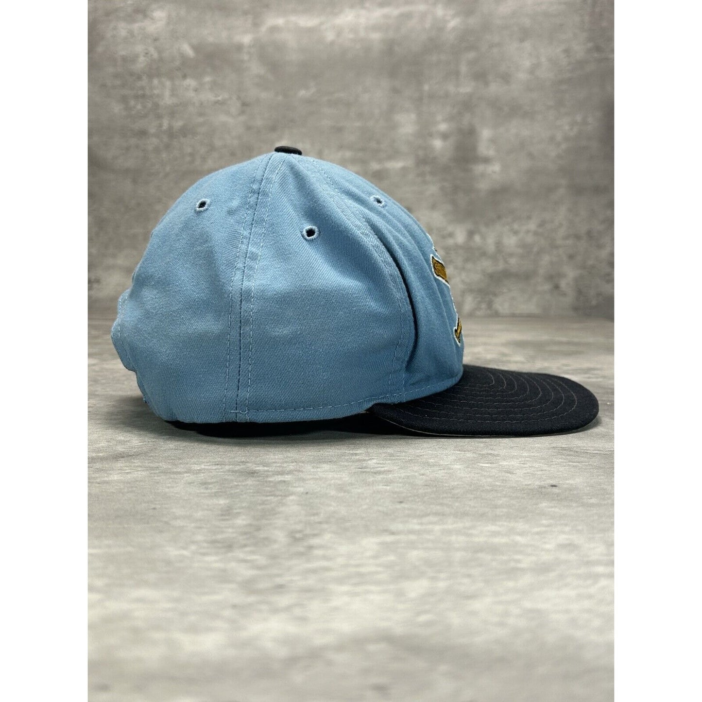 Vintage 90s Eerie Seawolves Milb Embroidered Logo Baseball Snapback Hat OSFA