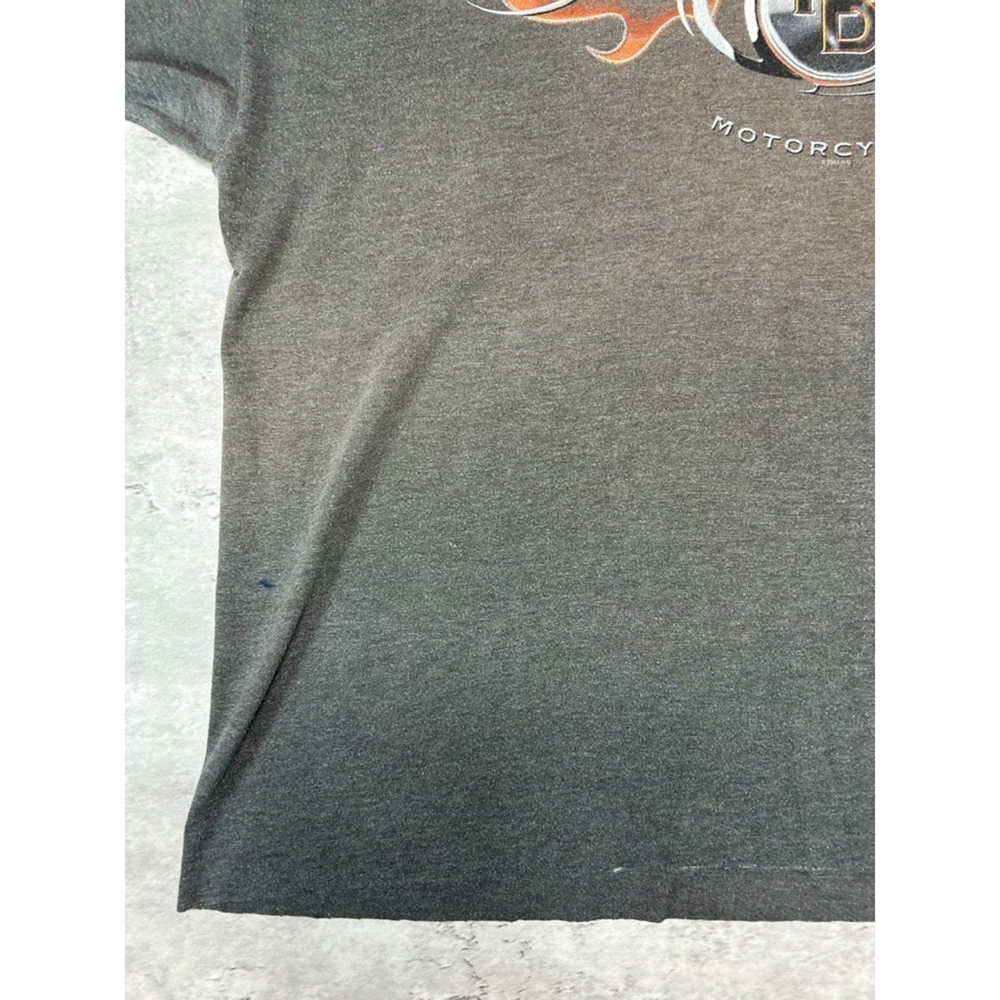 Vintage Harley Davidson Spellout Flame Graphic Cropped T-Shirt Size XL
