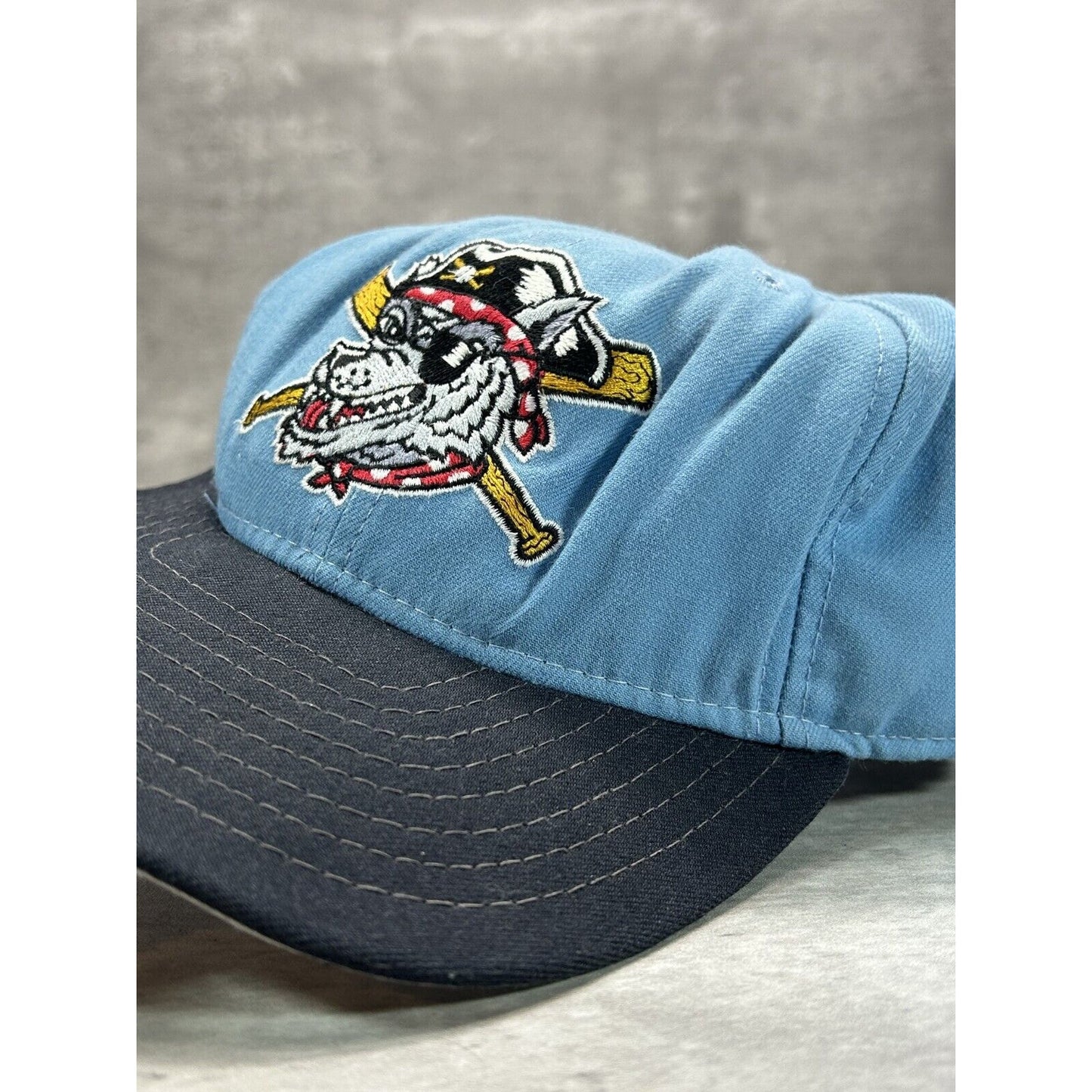 Vintage 90s Eerie Seawolves Milb Embroidered Logo Baseball Snapback Hat OSFA