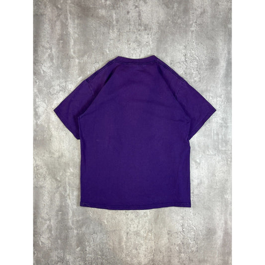 Vintage 1998 Minnesota Vikings NFL NFC Central Division Champs T-Shirt Size Large