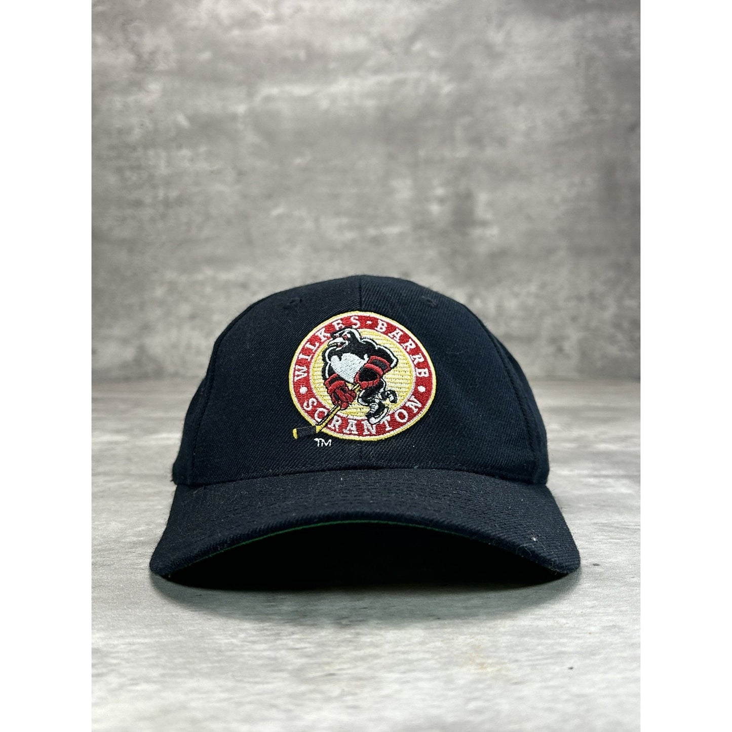 Vintage Wilkes Barre Scranton Penguins AHL Embroidered Hockey Snapback Hat OSFA