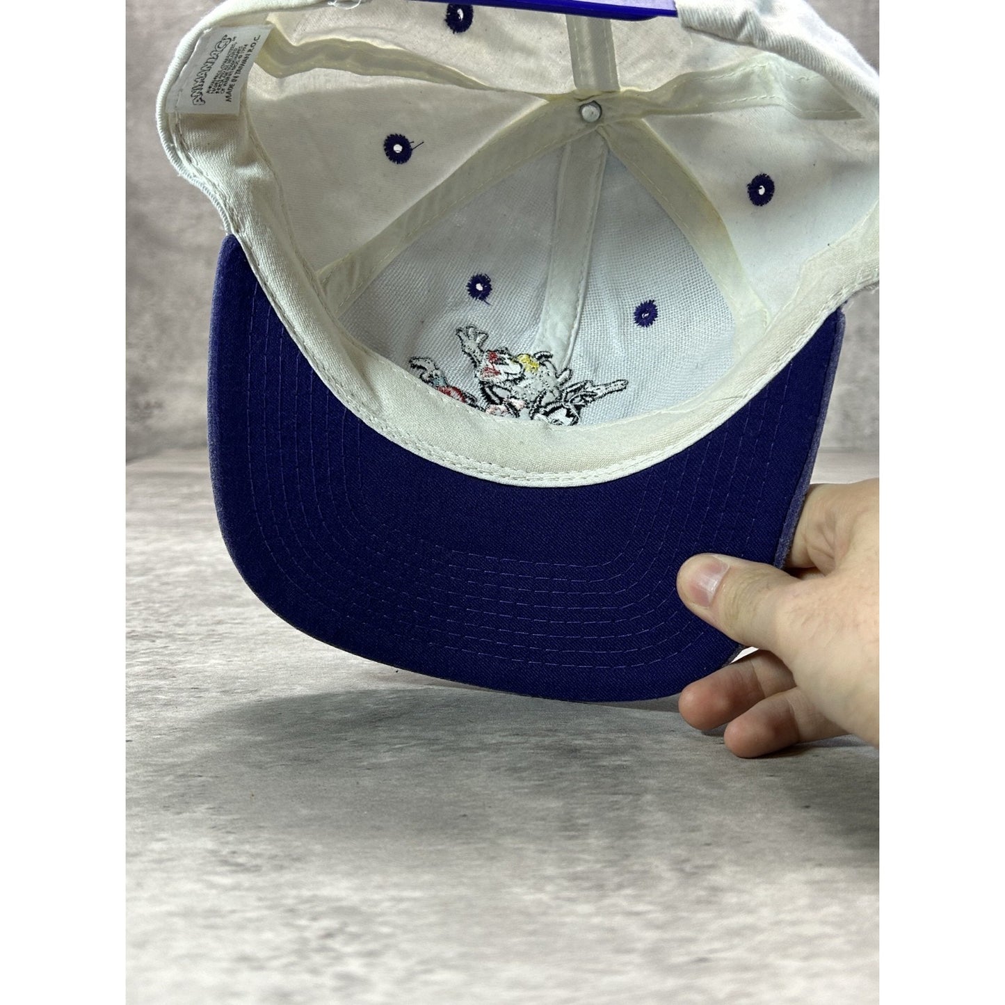 Vintage 1994 Animaniacs Embroidered Cartoon TV Show Promo Snapback Hat OSFA