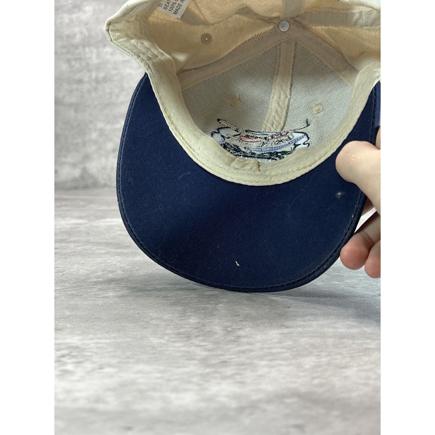 Vintage Alaska Bush Pilot Embroidered Spellout Destination Strapback Hat OSFA
