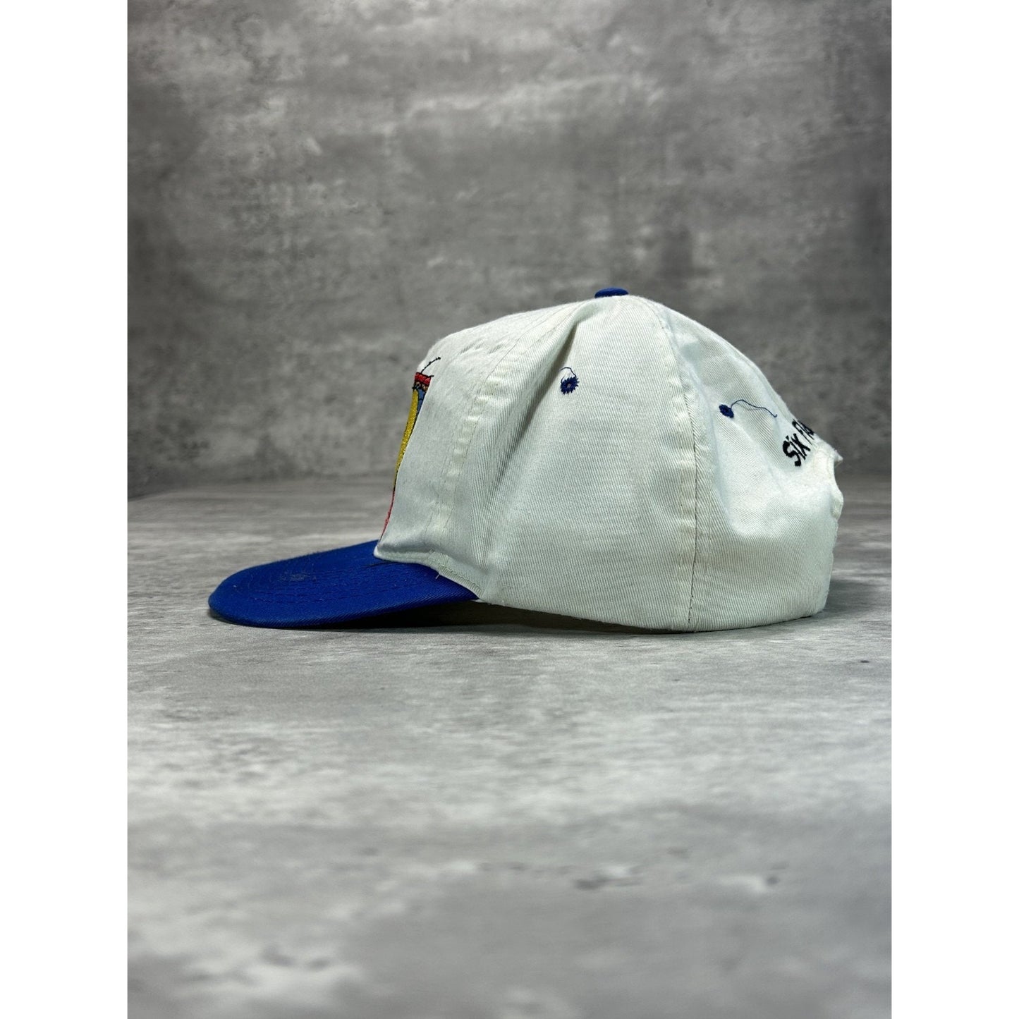 Vintage 90s Looney Tunes Tweety Bird Embroidered Cartoon Snapback Hat OSFA