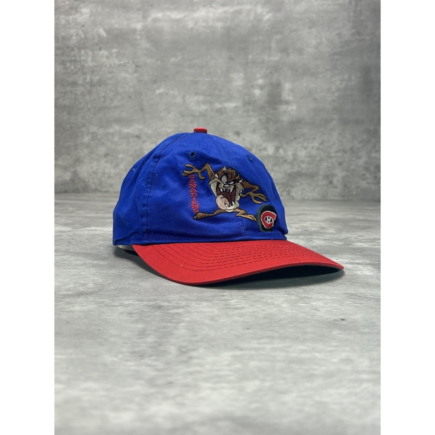 Vintage 1996 Montreal Canadiens NHL Looney Tunes Taz Snapback Hat OSFA