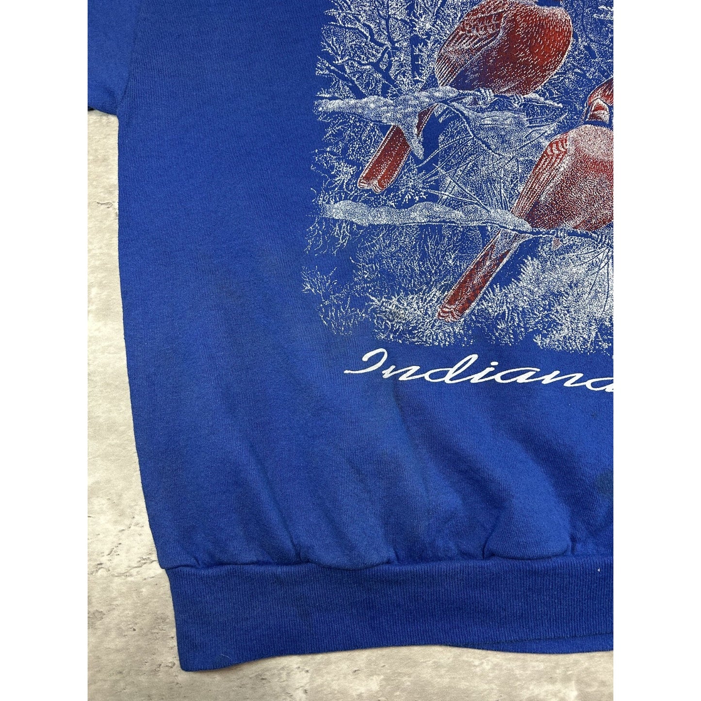 Vintage 90s Indiana Cardinal Nature Wildlife Graphic Sweatshirt Size XL Blue