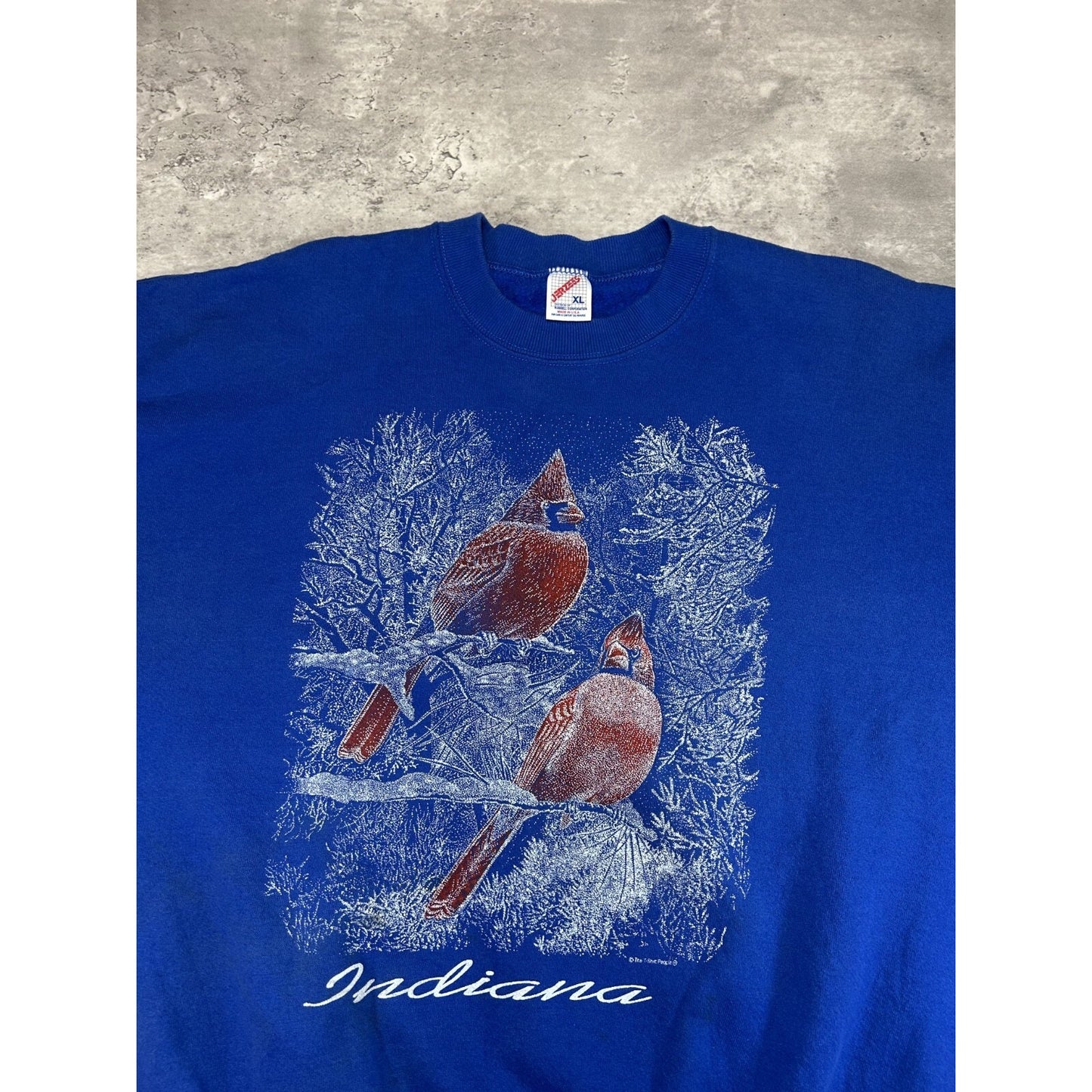 Vintage 90s Indiana Cardinal Nature Wildlife Graphic Sweatshirt Size XL Blue