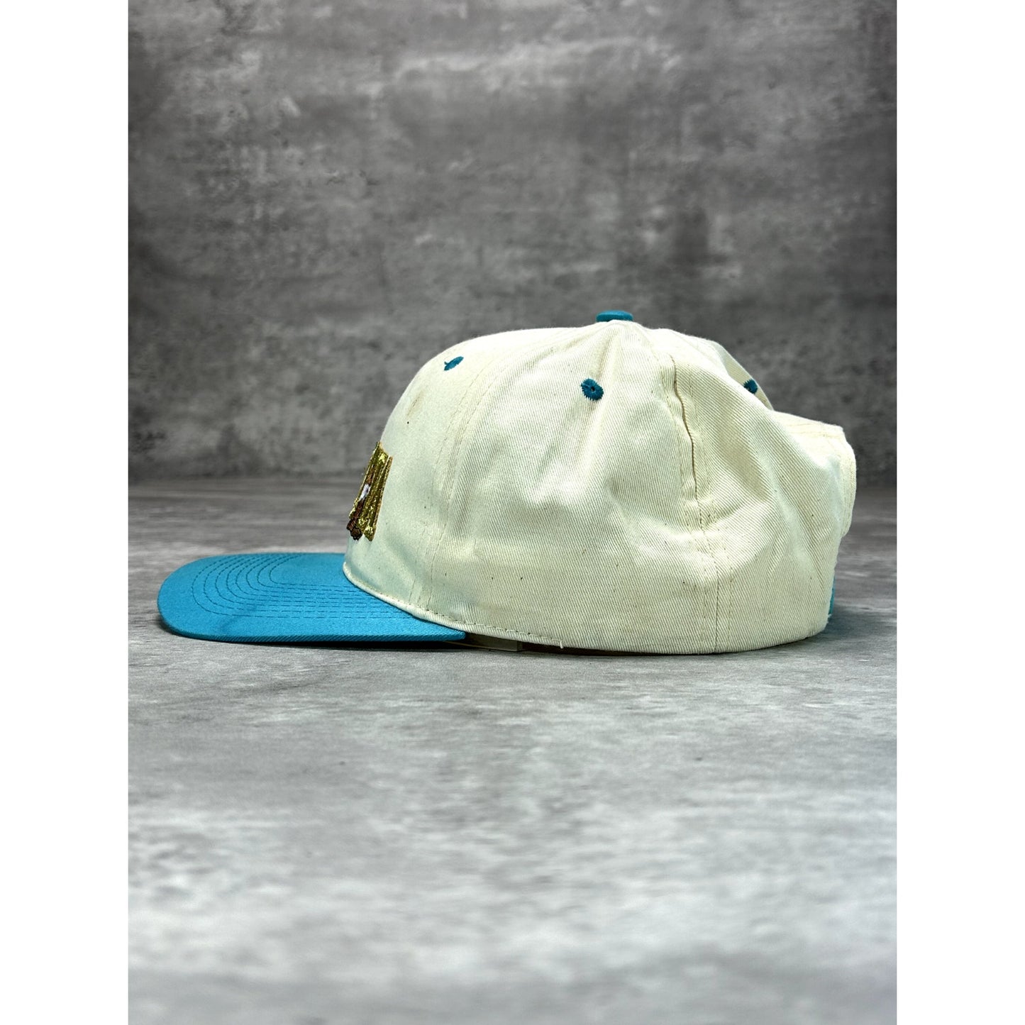 Vintage 90s Arizona Embroidered Spellout Destination Snapback Hat OSFA
