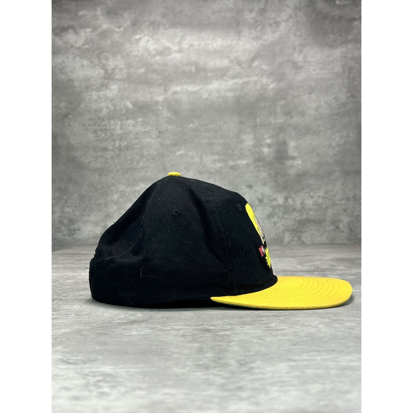 Vintage 90s MTV Beavis & Butthead TV Show Promo Graphic Snapback Hat OSFA