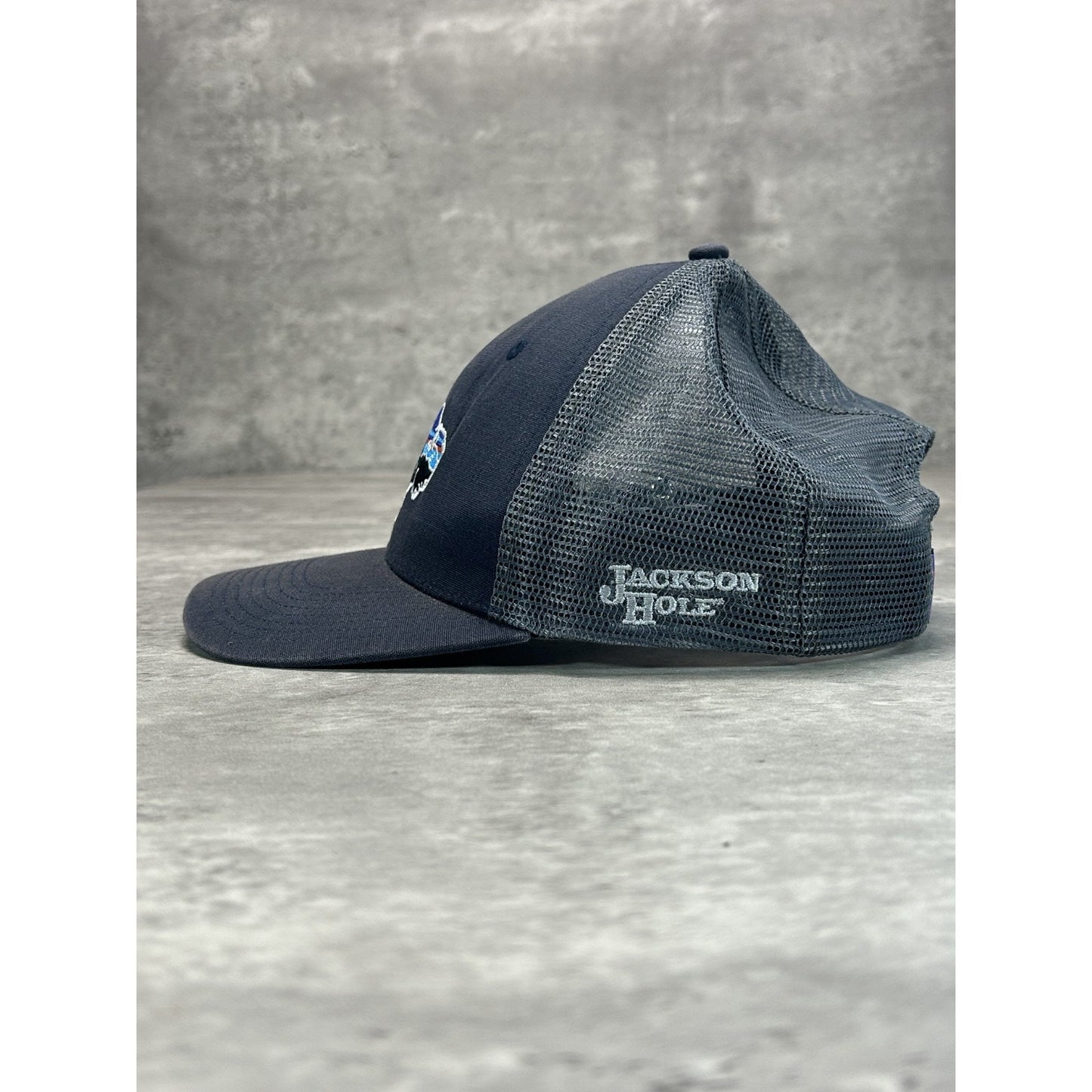 Patagonia Embroidered Bison Logo Trucker Snapback Hat OSFA Gray