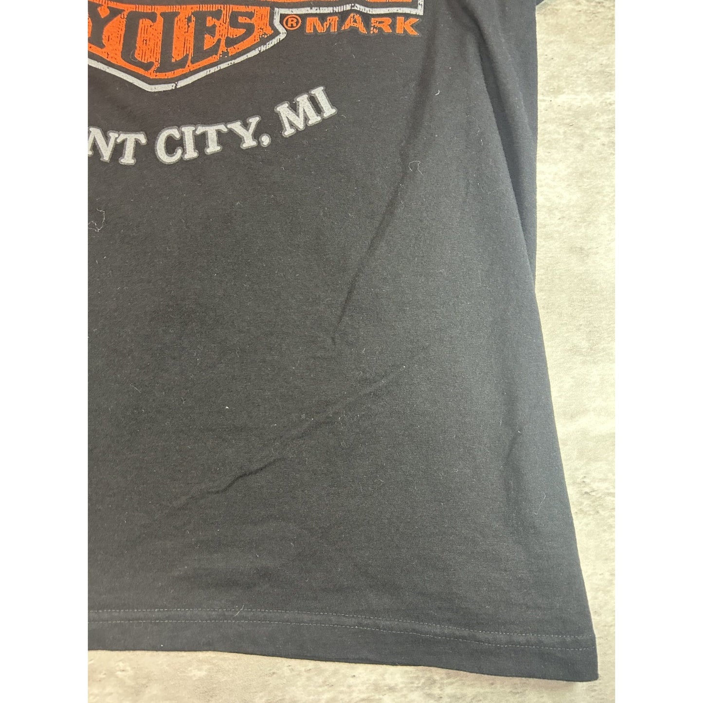 Harley Davidson Motorcycles Screaming Eagle Engine Graphic T-Shirt Size Large