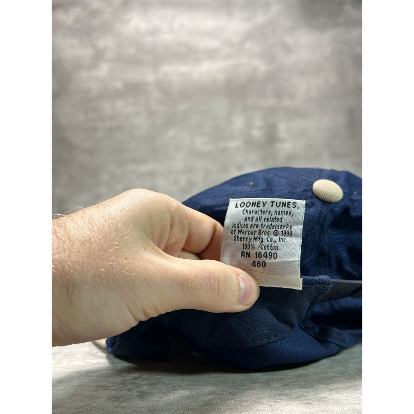 Vintage 1998 Looney Tunes Taz Embroidered Cartoon Character Snapback Hat OSFA