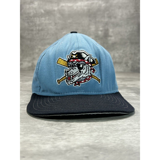 Vintage 90s Eerie Seawolves Milb Embroidered Logo Baseball Snapback Hat OSFA